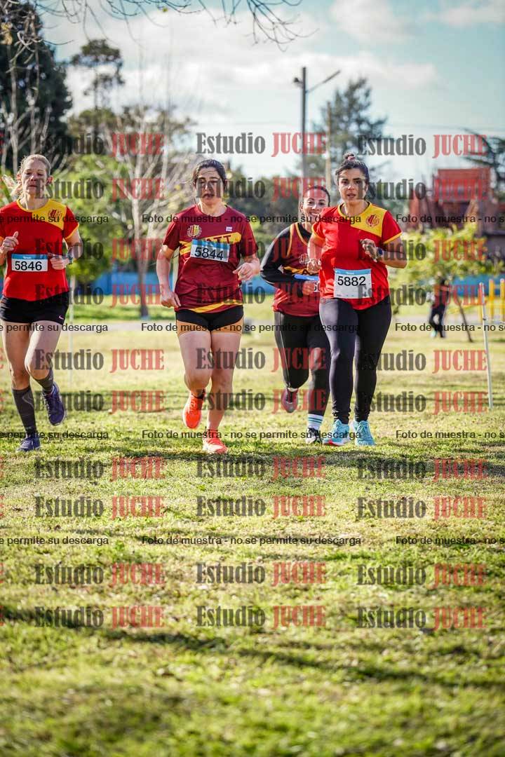 Fotos en el circuito