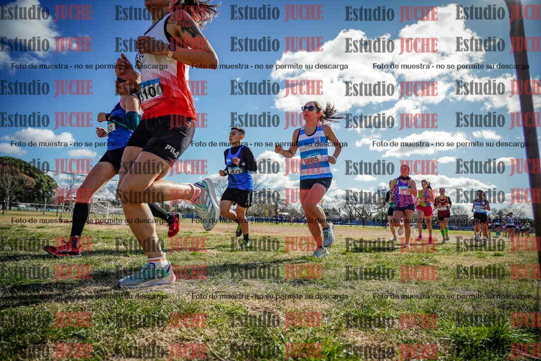 Fotos en el circuito