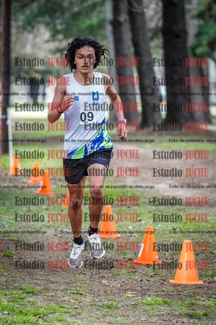Fotos en el circuito