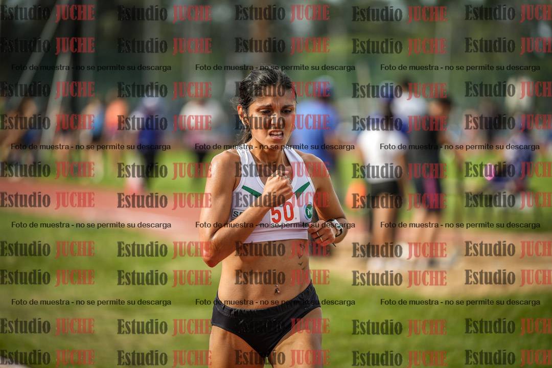 Fotos de los 5000 m llanos