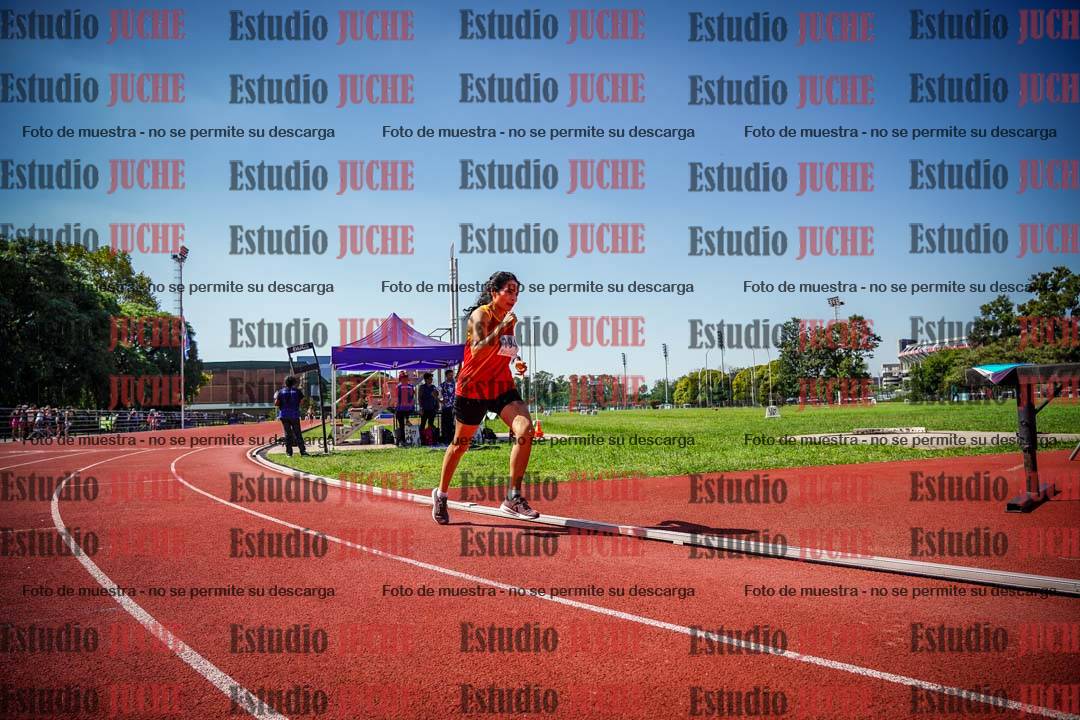 Fotos de los 800 m llanos de mujeres
