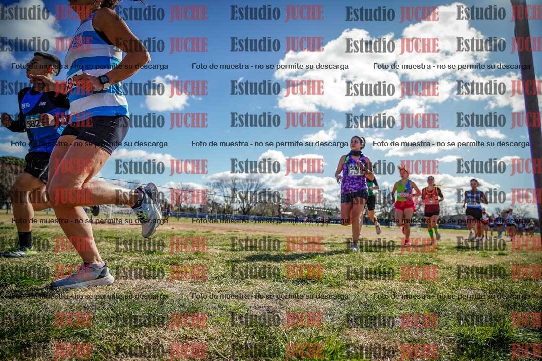 Fotos en el circuito