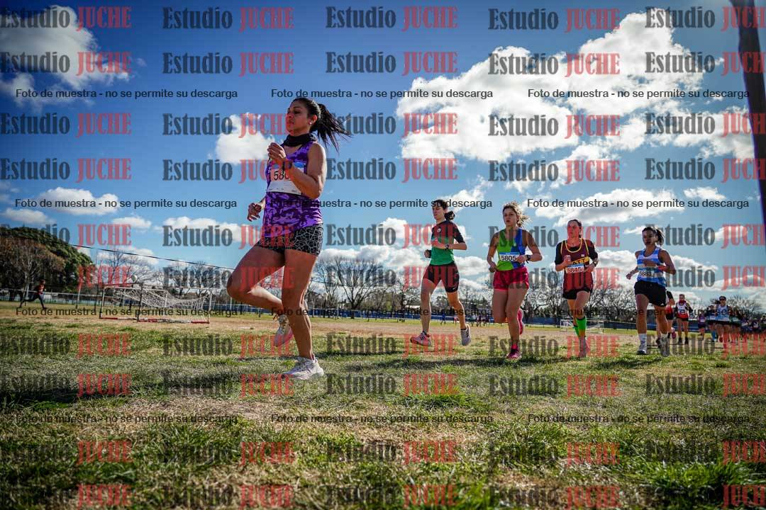 Fotos en el circuito