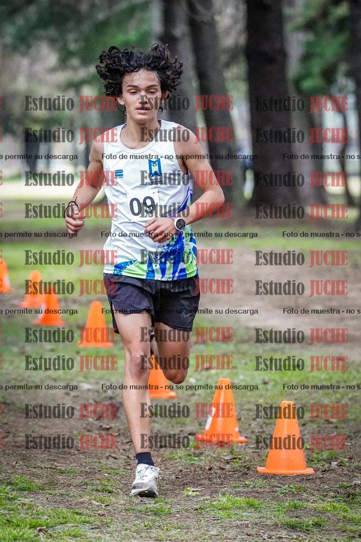 Fotos en el circuito