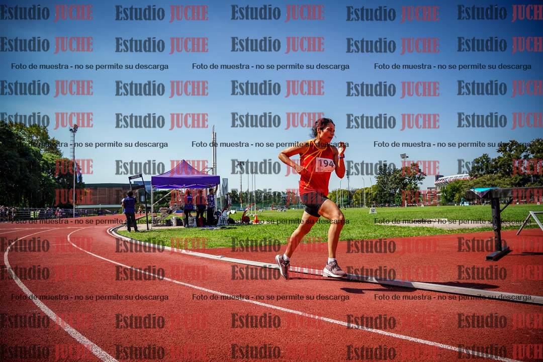 Fotos de los 800 m llanos de mujeres