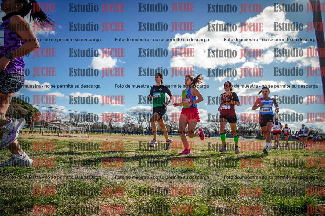 Fotos en el circuito