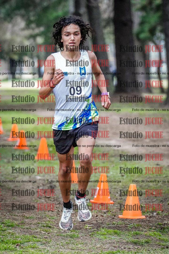 Fotos en el circuito