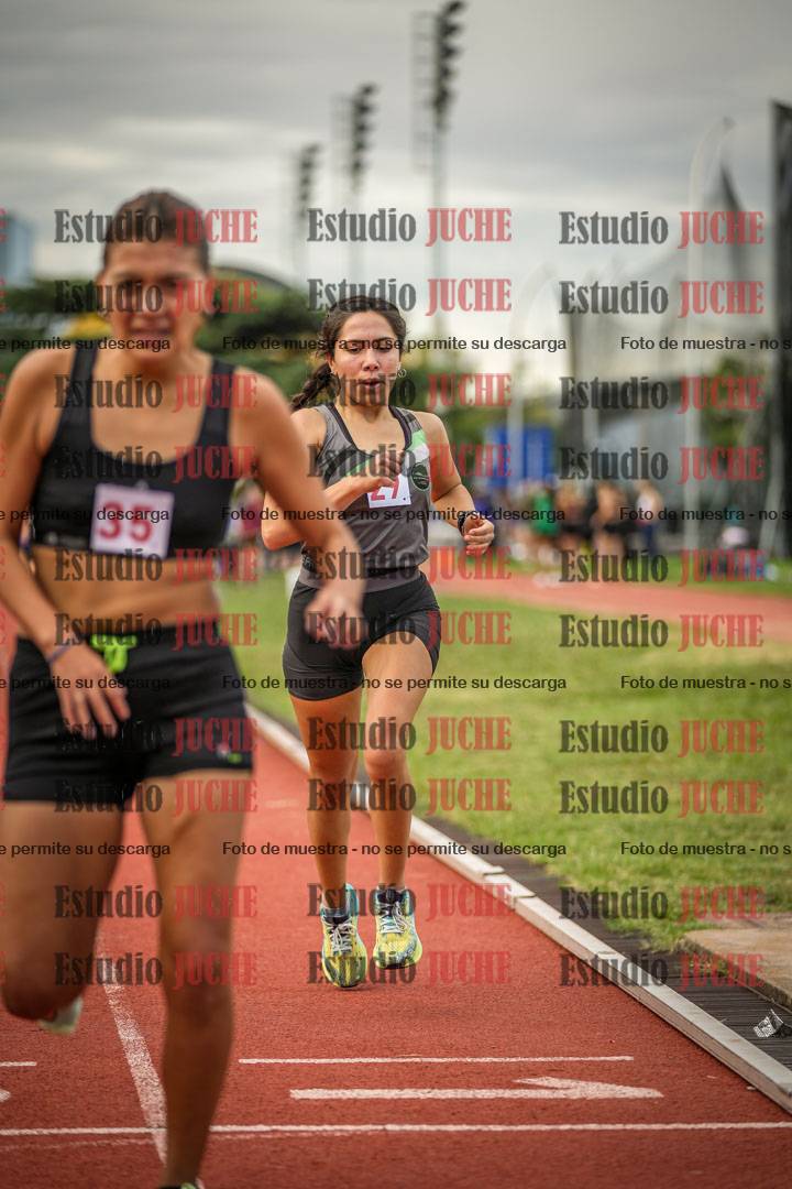 Fotos de los 1500 m llanos de mujeres