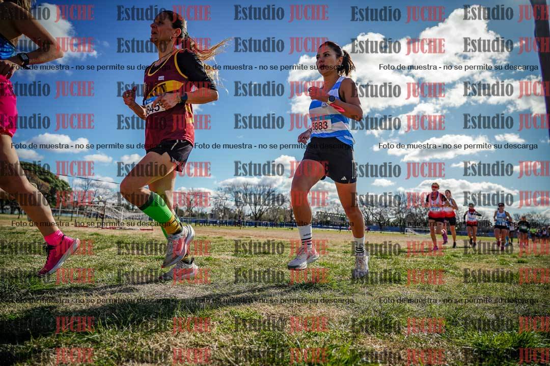 Fotos en el circuito