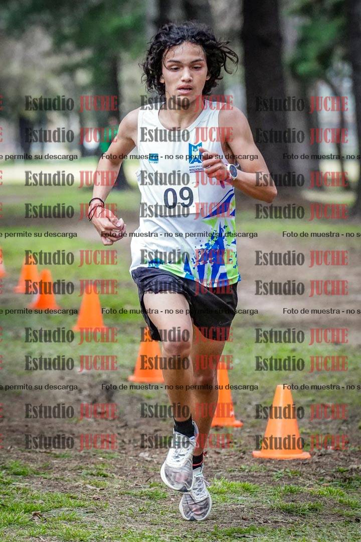 Fotos en el circuito