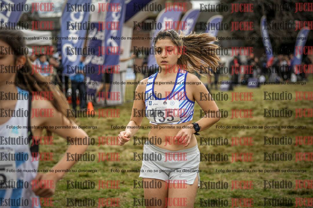 Fotos en de la largada