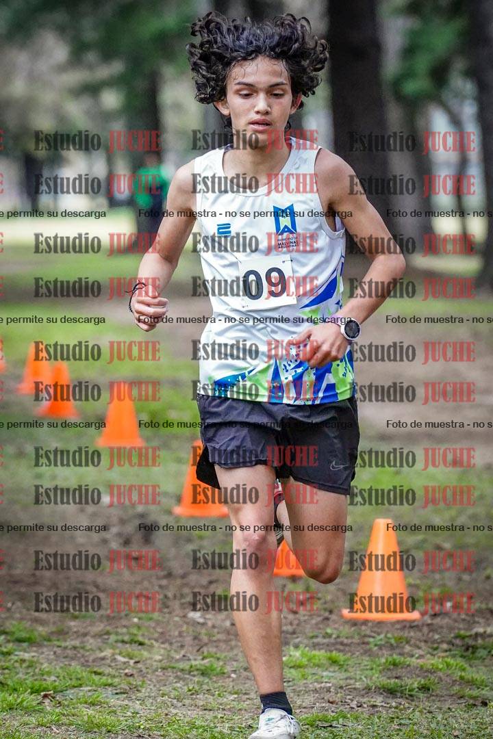 Fotos en el circuito