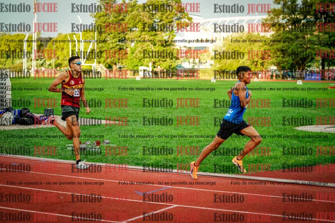 Fotos de los 1500 m llanos de varones