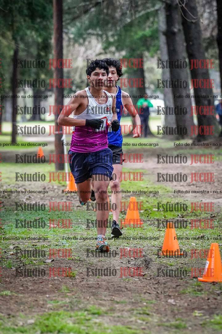 Fotos en el circuito