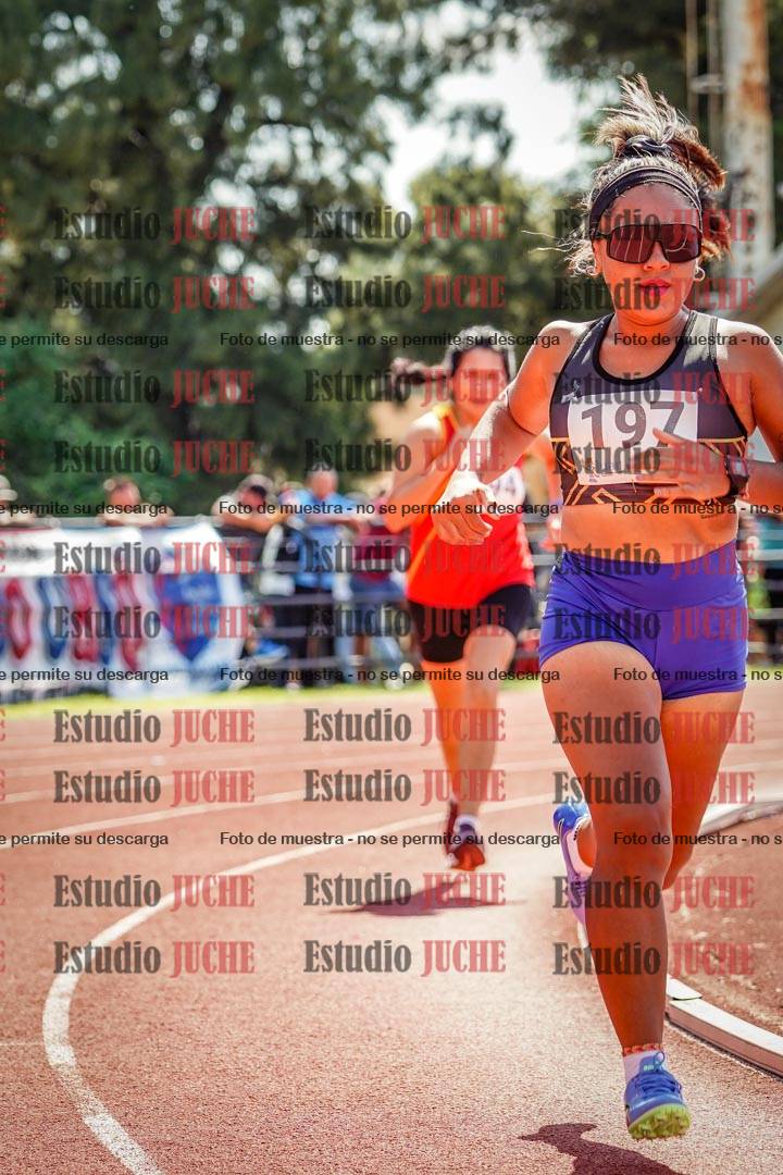 Fotos de los 800 m llanos de mujeres