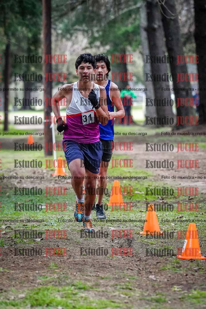 Fotos en el circuito