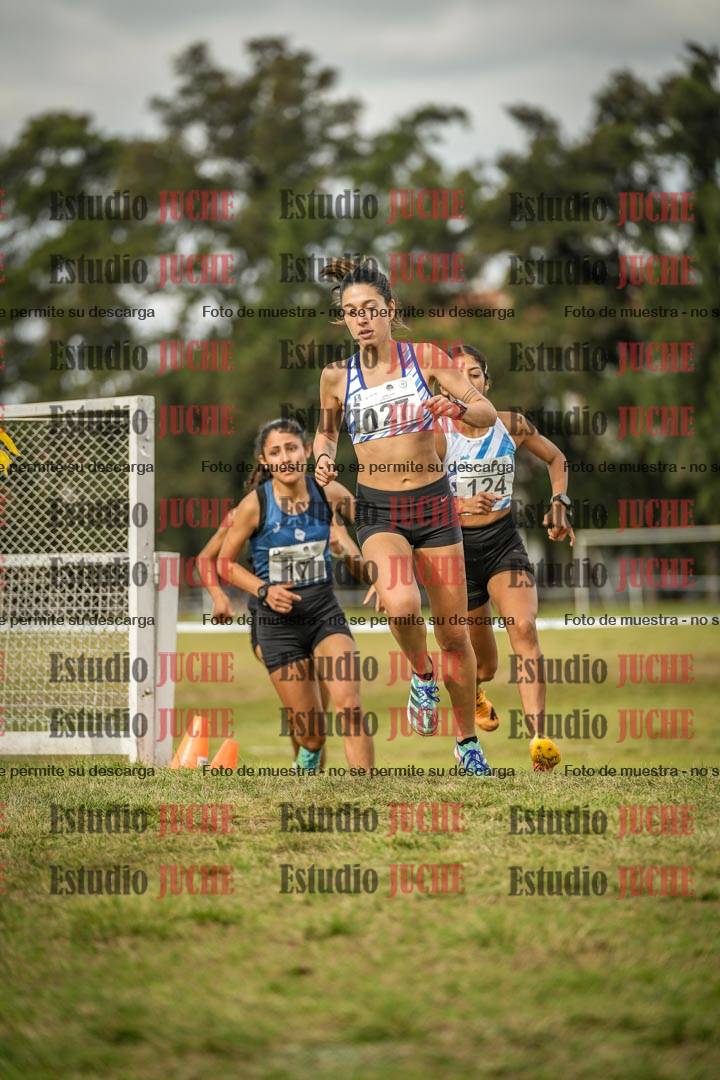 Fotos en el circuito