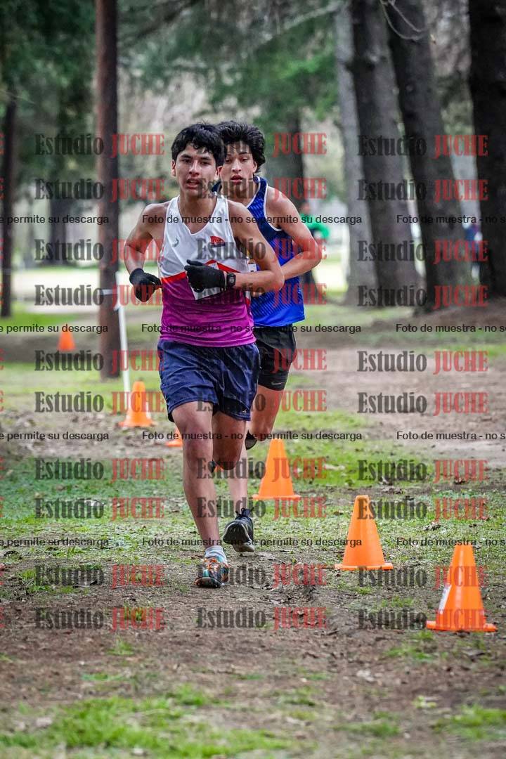 Fotos en el circuito