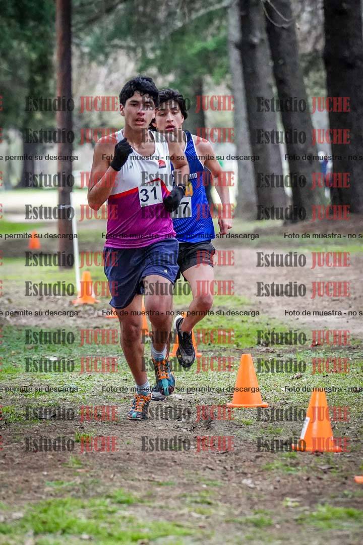 Fotos en el circuito