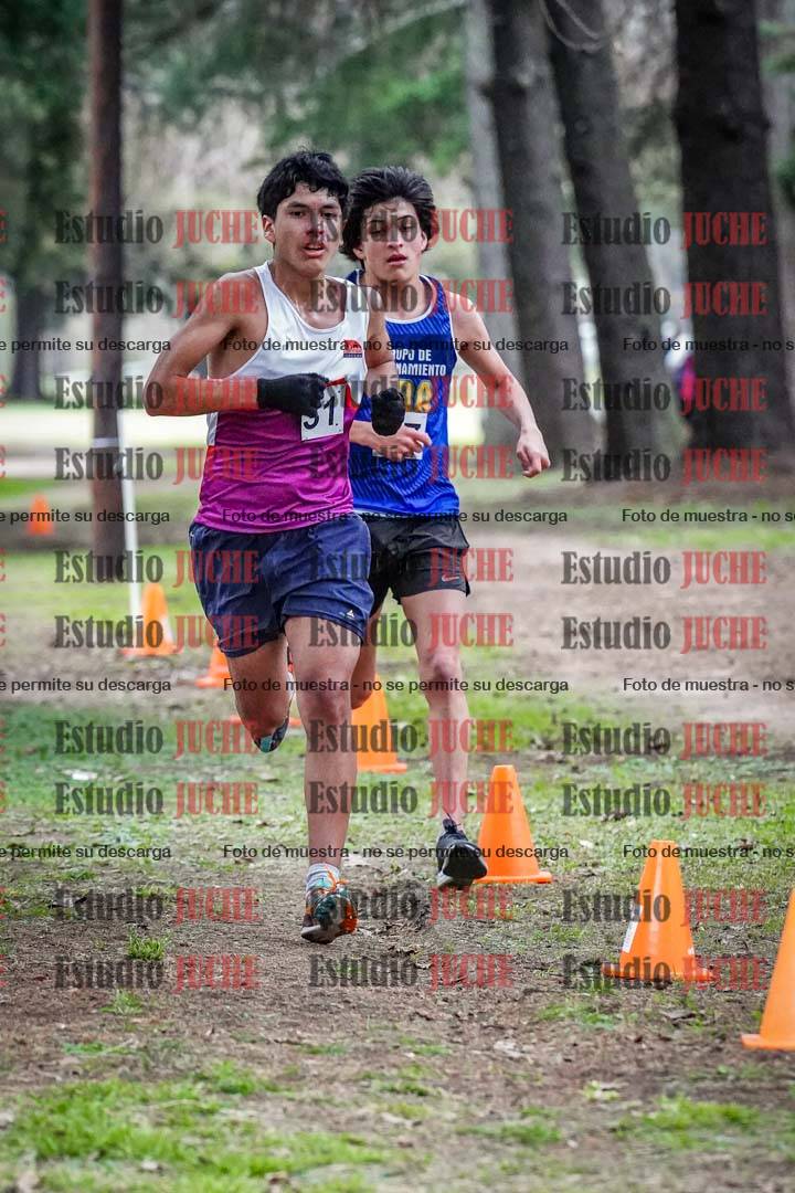 Fotos en el circuito