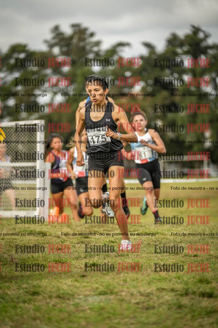 Fotos en el circuito