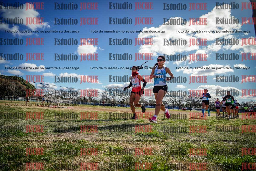 Fotos en el circuito