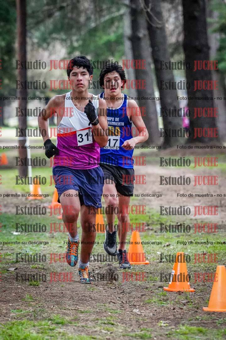 Fotos en el circuito