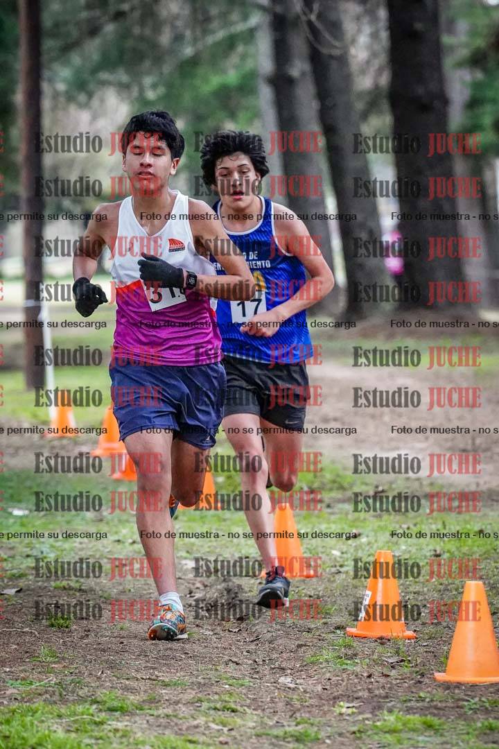 Fotos en el circuito
