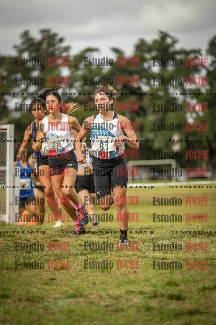 Fotos en el circuito