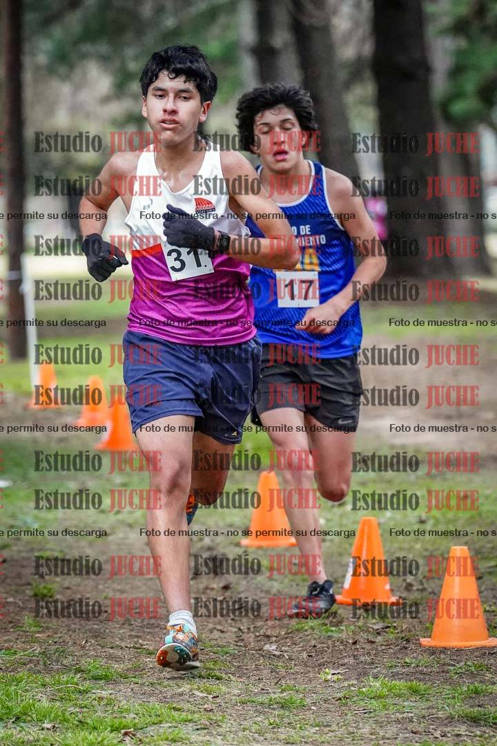 Fotos en el circuito