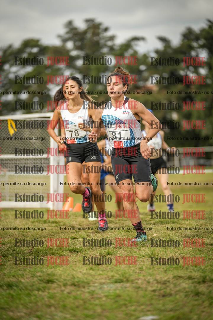Fotos en el circuito