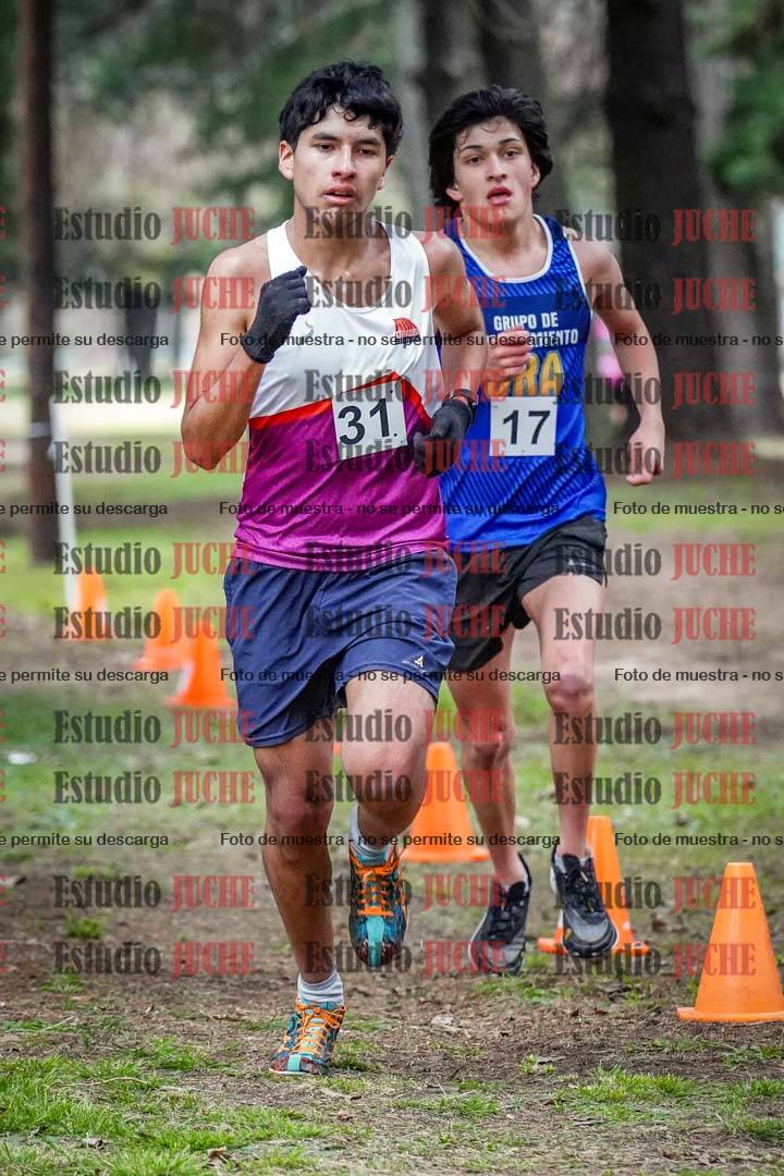Fotos en el circuito