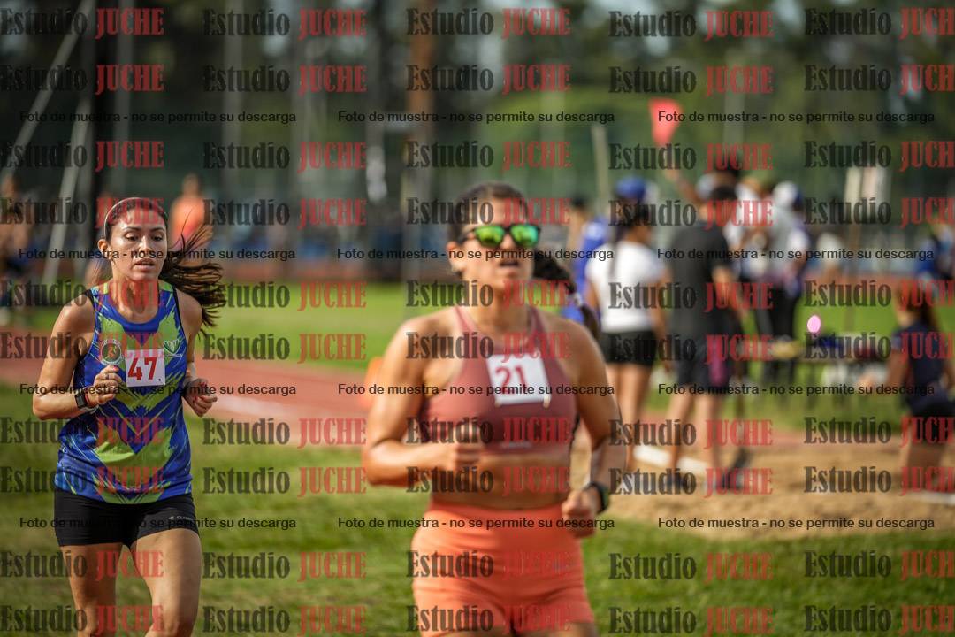 Fotos de los 5000 m llanos