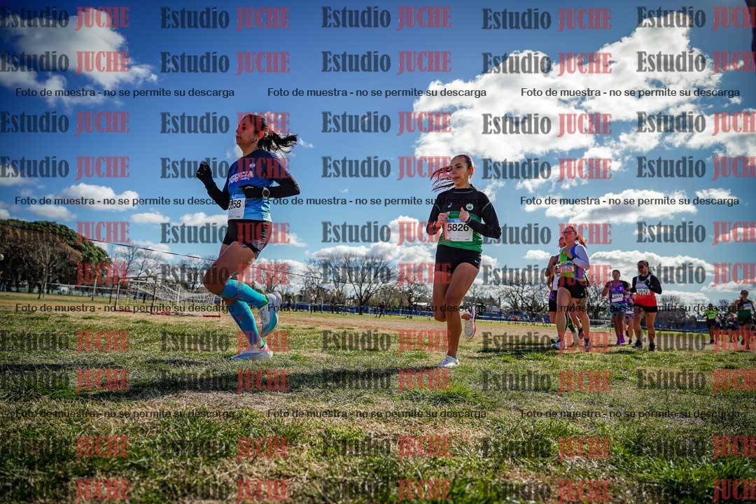 Fotos en el circuito