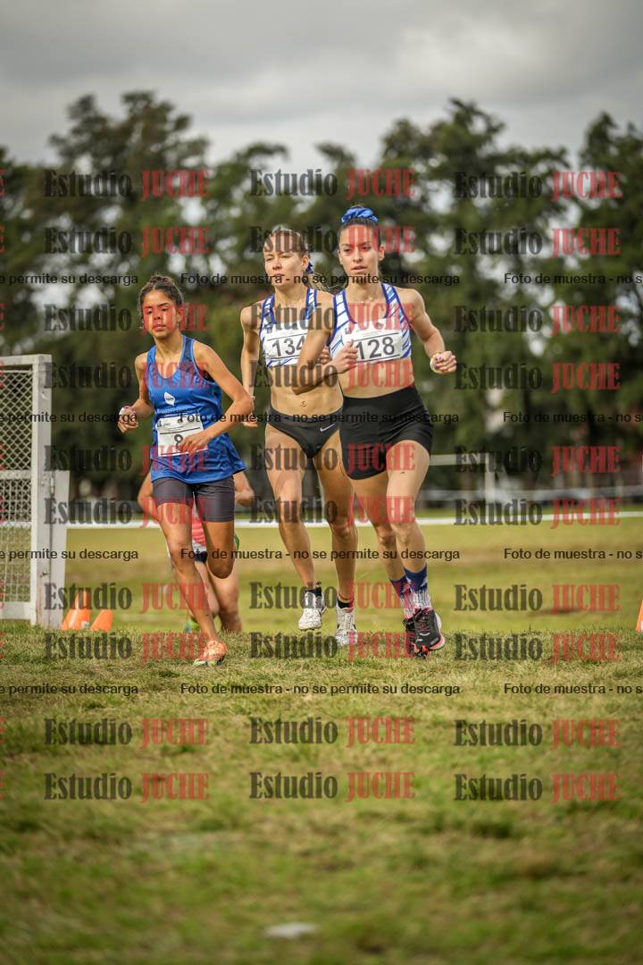 Fotos en el circuito