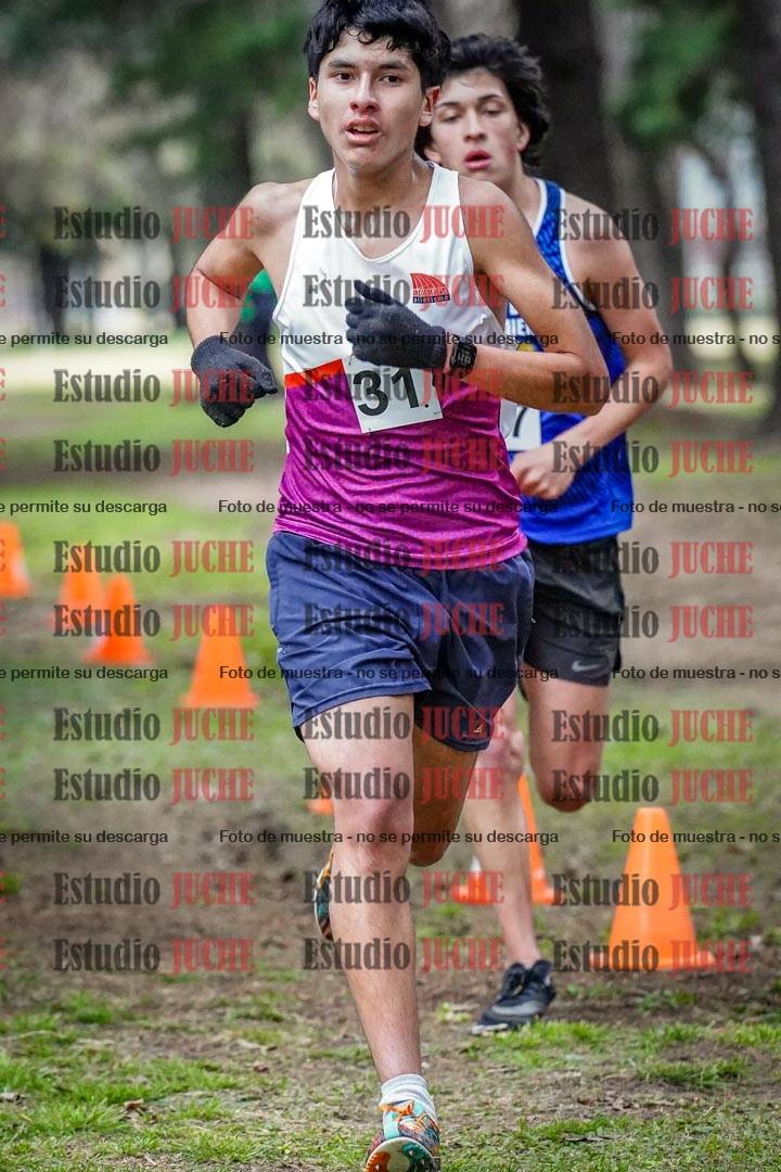 Fotos en el circuito