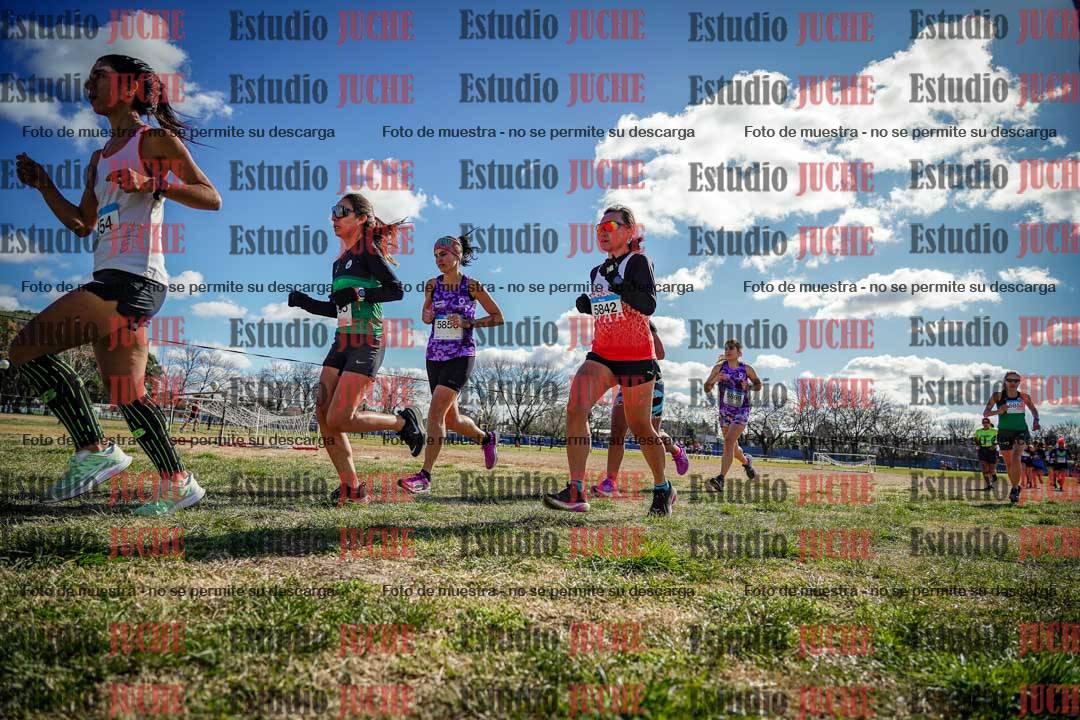 Fotos en el circuito