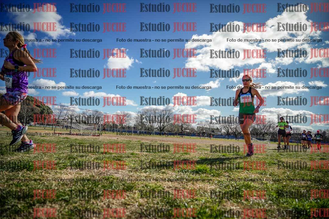 Fotos en el circuito