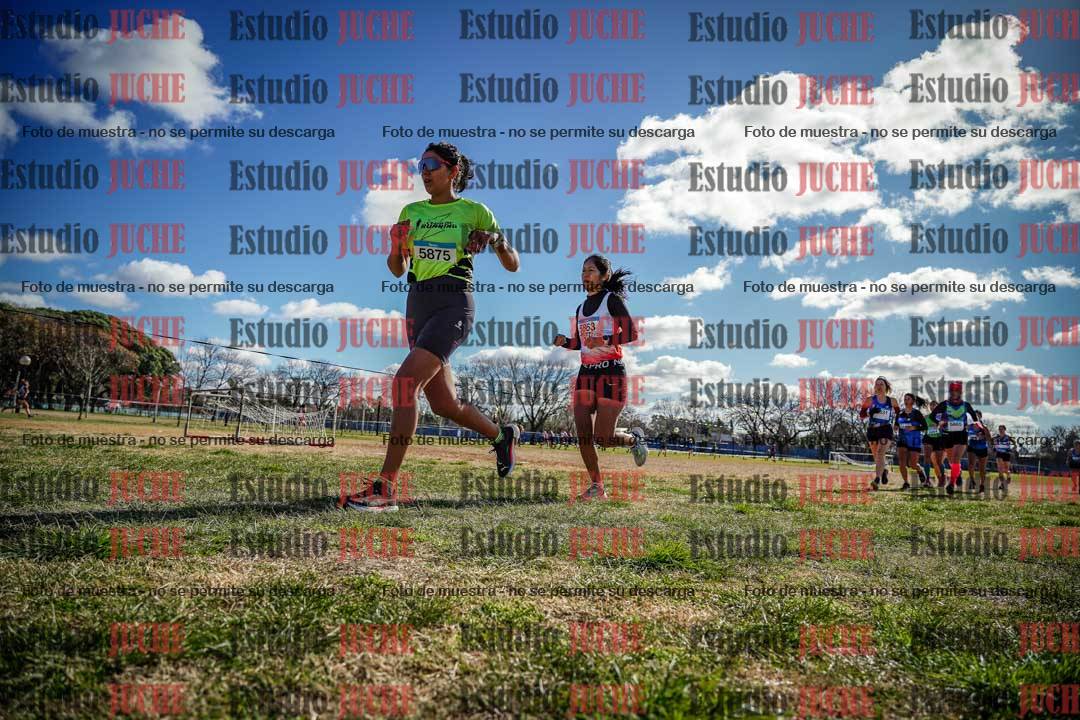 Fotos en el circuito