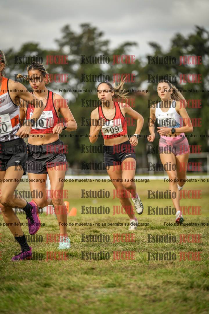 Fotos en el circuito