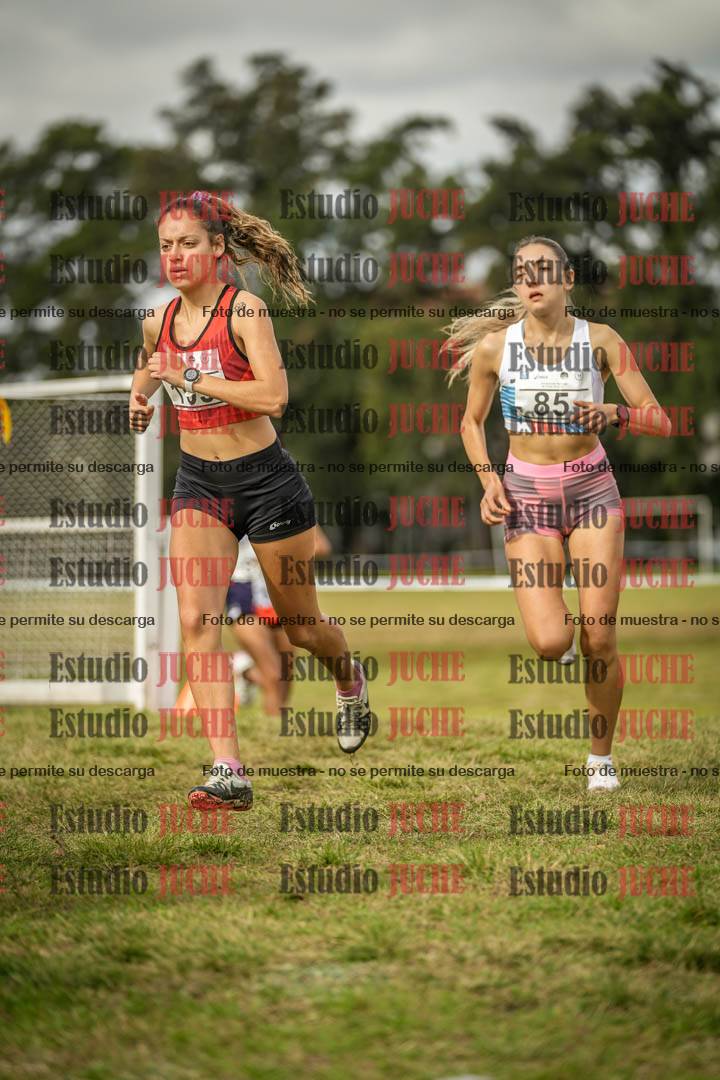 Fotos en el circuito