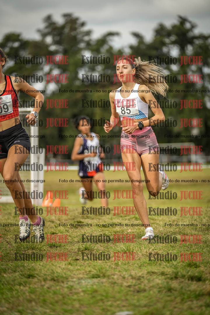 Fotos en el circuito