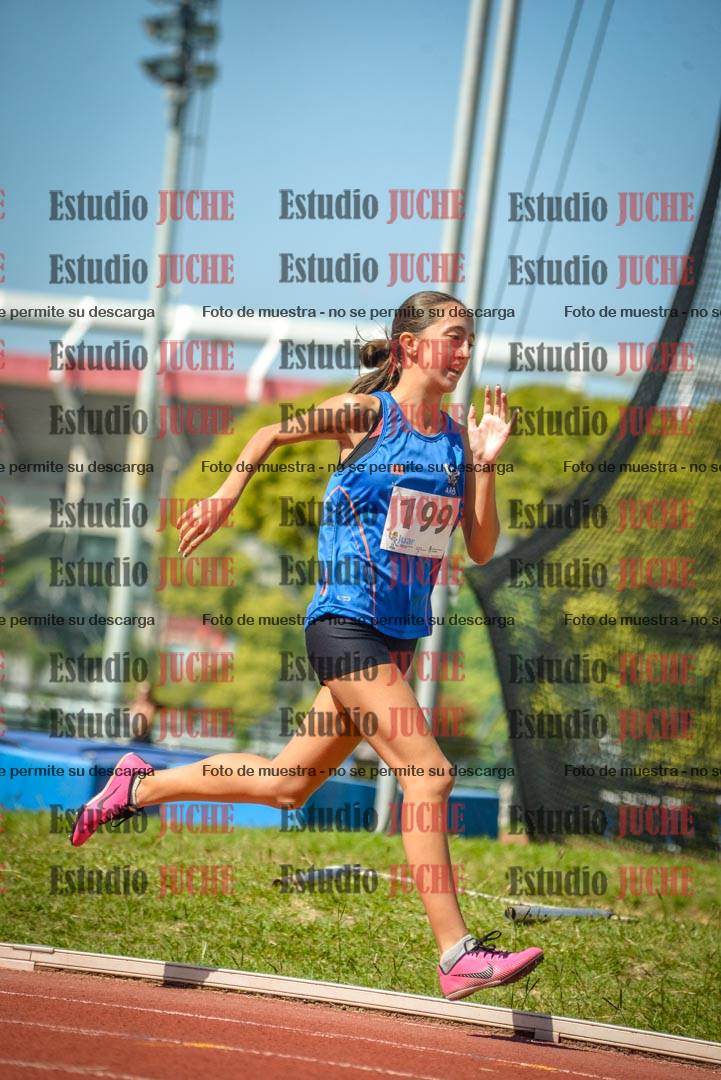 Fotos de los 800 m llanos de mujeres