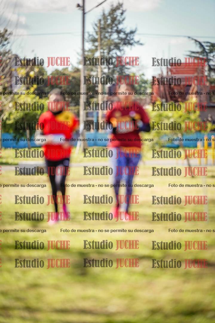 Fotos en el circuito