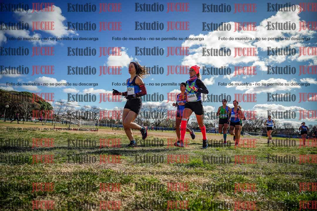 Fotos en el circuito