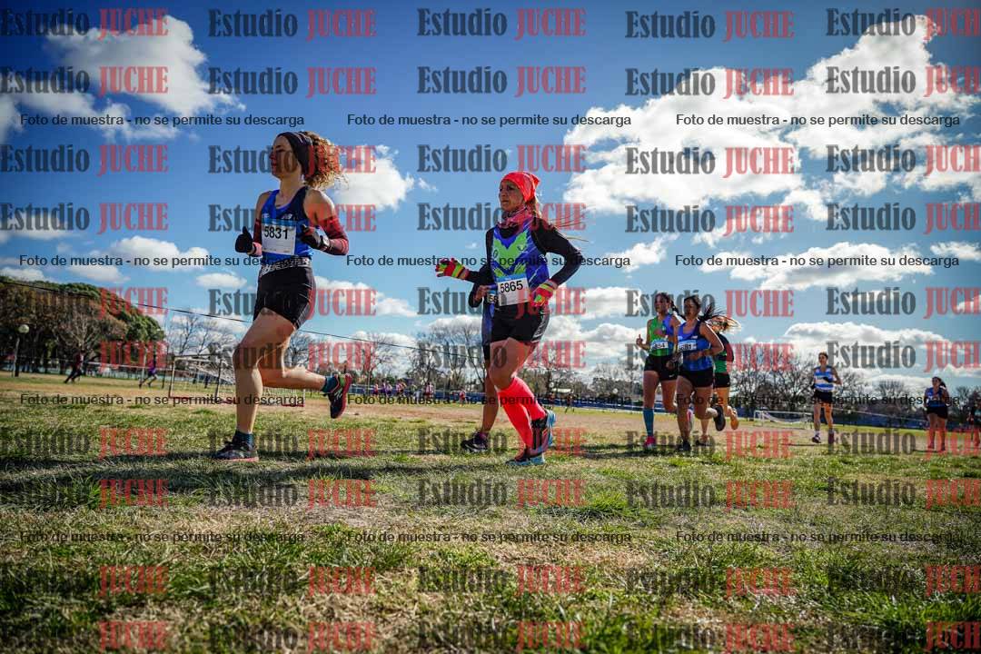 Fotos en el circuito