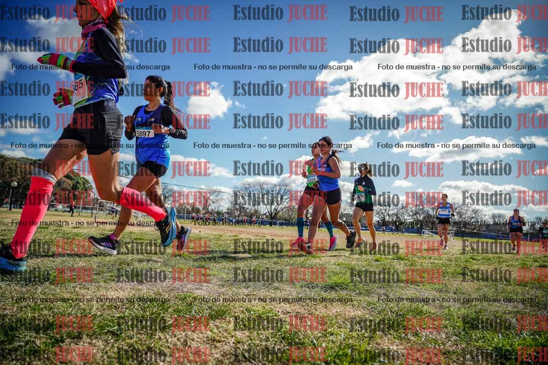 Fotos en el circuito