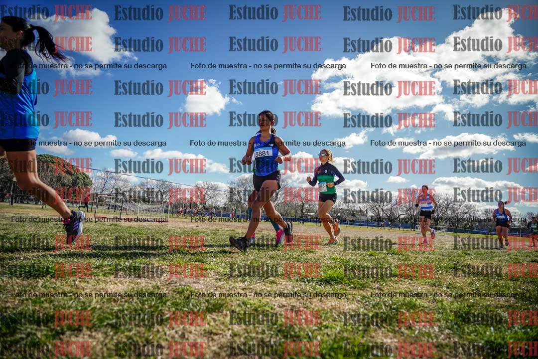 Fotos en el circuito