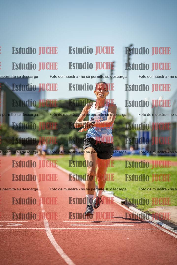 Fotos de los 800 m llanos de mujeres