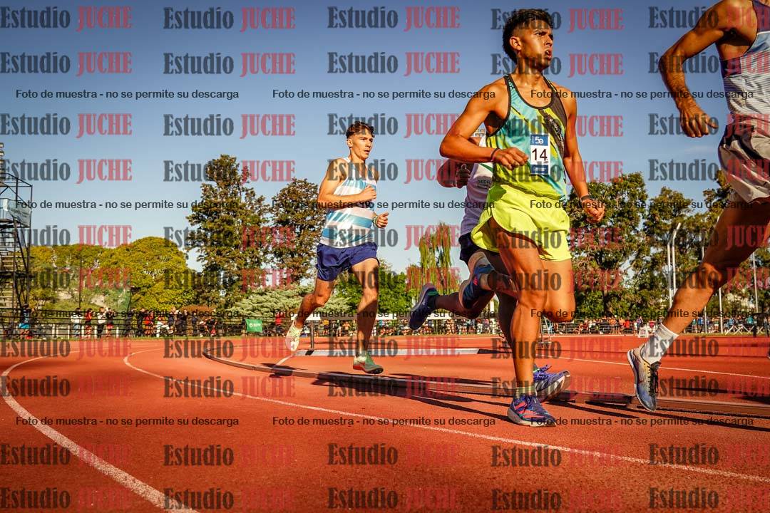 Fotos de los 3000 m llanos de varones